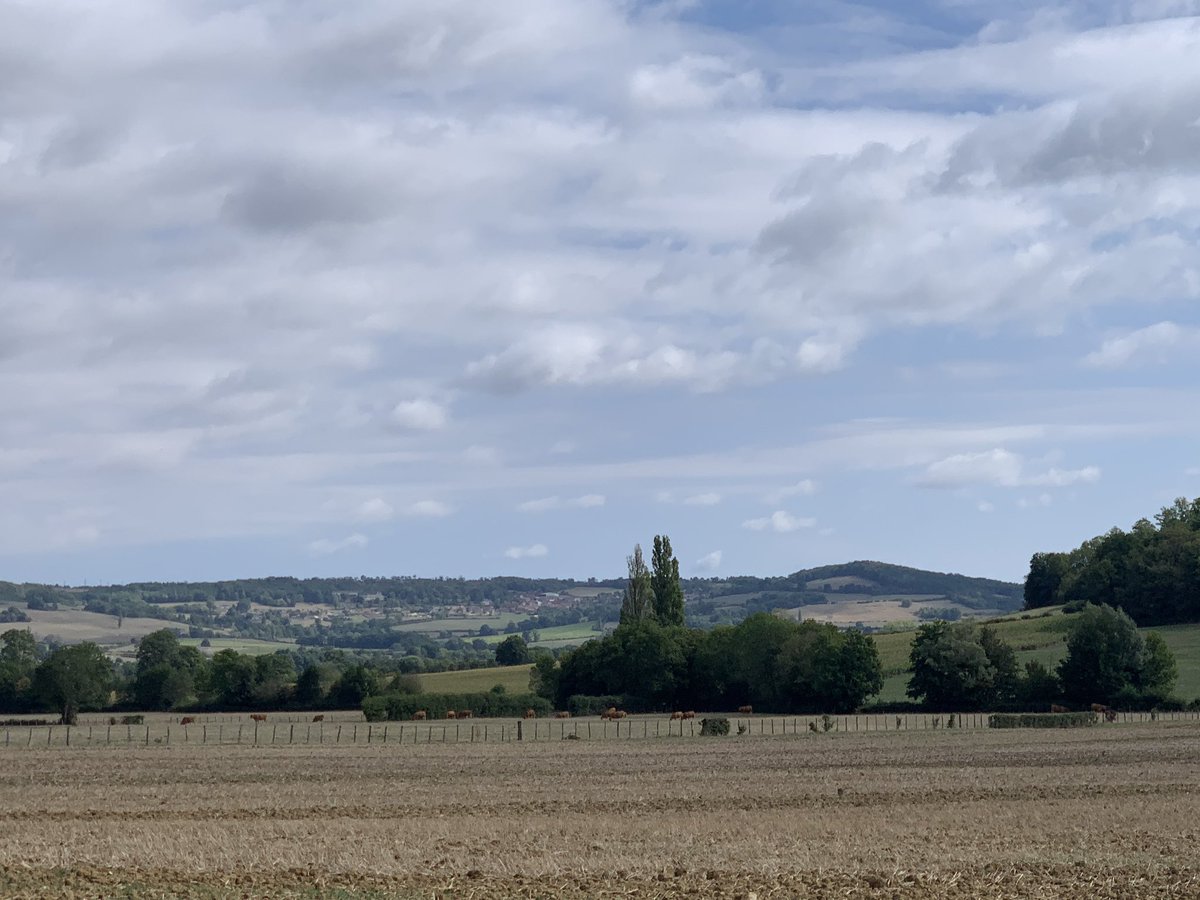 alainhoupert's tweet photo. #Lantilly, la plus belle vue sur l’oppidum d’#Alésia ! #Bourgogne #CôtedOr https://t.co/bjelmEGz2F