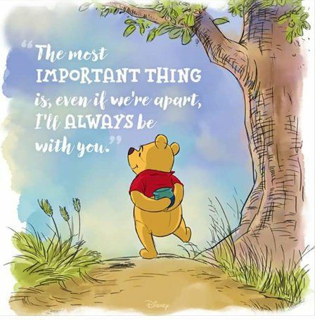 [ not K pop related ]Winnie the Pooh , being the most inspirational bear. - a needed thread