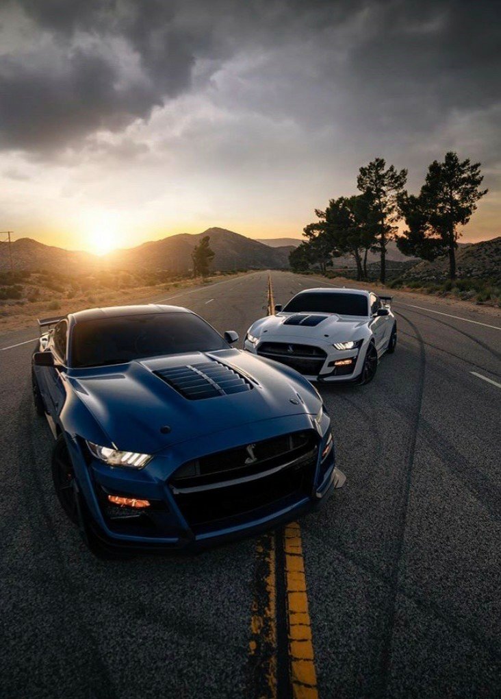 G_Hysteria's tweet photo. #MustangMoments https://t.co/dwY0siDMou
