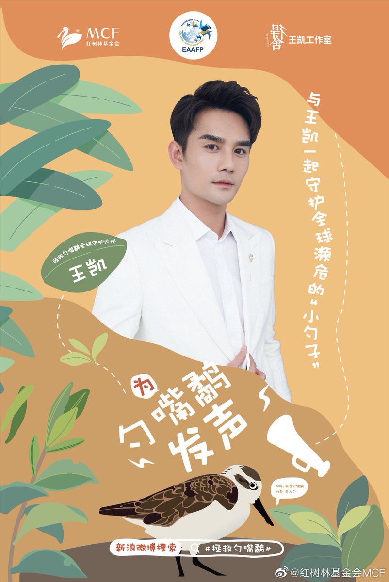 kkw_dxhz's tweet photo. 이번에 왕카이를 넓적부리도요새 보호 글로벌 홍보대사로 임명한 EEAFP https://t.co/pRdm8iNMoT 는 동아시아-오스트랄라시아 지역 국제기구·NGO·기업이 물새 보호를 위해 설립한 네트워크라는데 중요한 점은 사무국이! 한국에!!! 있다고!!!!! 왕카이 내한해애애애애애애애🤩 https://t.co/949MsPRock