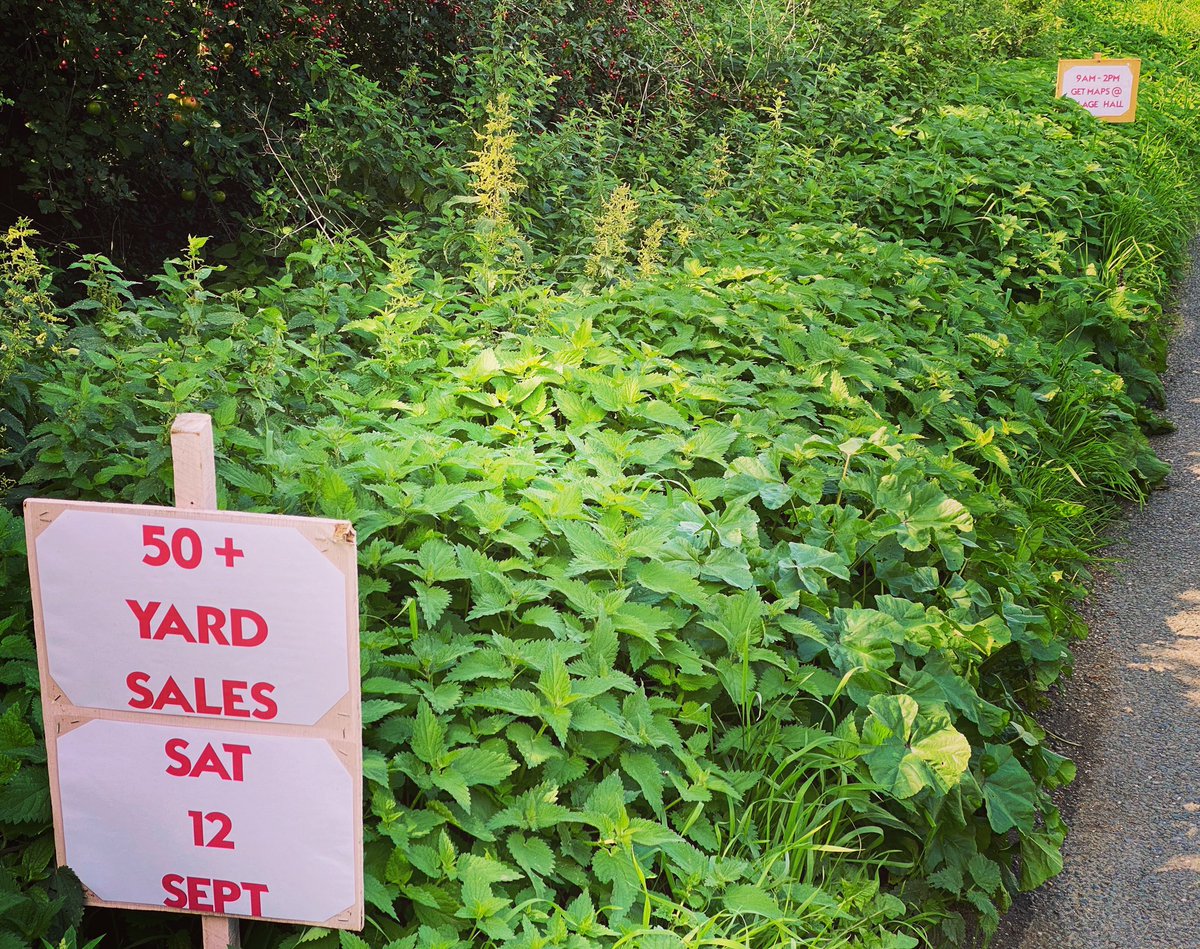 HarlingOld's tweet photo. The signs are out; just 1 week to go! (And it’s now over 60 stalls!!!!)

Let’s hope the weather is good!

#eastharling #villagehall #eastharlingvillagehall #southnorfolk #breckland #yardsales #community https://t.co/NPeLV6Oc9g