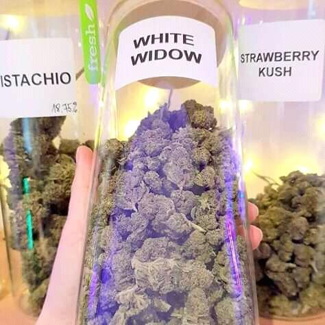 Smith kushman (@frankjr52263006) on Twitter photo 