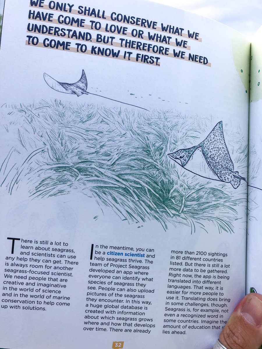 BoardshortsBen's tweet photo. My copy of #BeAWaveMaker has arrived. 

So cool to see my story in print featuring awesome illustrations including this one of eagle rays from Mexico. 

@ProjectSeagrass https://t.co/peCLcDU0CF