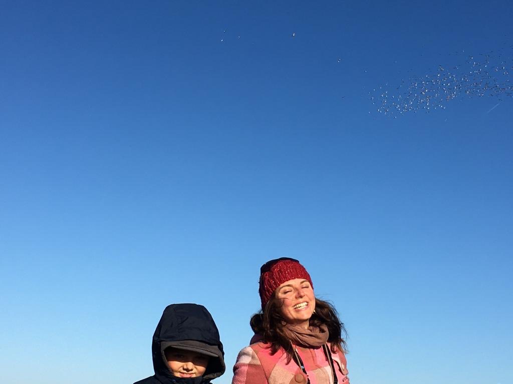 TonyDevenish's tweet photo. Lovely morning at #RSPBSnettisham this morning with good numbers of Knot, Barwits, Oiks, Ringos, Grey Plovers with a Merlin and a Peregrine adding to the drama. Plus House Martins and Swallows passing through, inc 2 sat on a dead Elder. https://t.co/r7e9ZuDCKJ