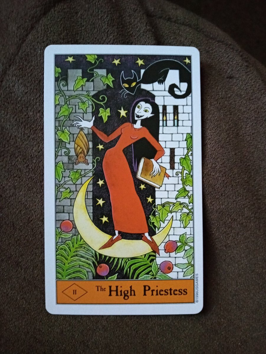 tigerlex333's tweet photo. Follow the black cat.
Halloween Tarot Deck.
The High Priestess
Change is now. What you have been waiting for and working toward starts today.
#thehighpriestess #saturdayweekend https://t.co/ymw9YQF9YL