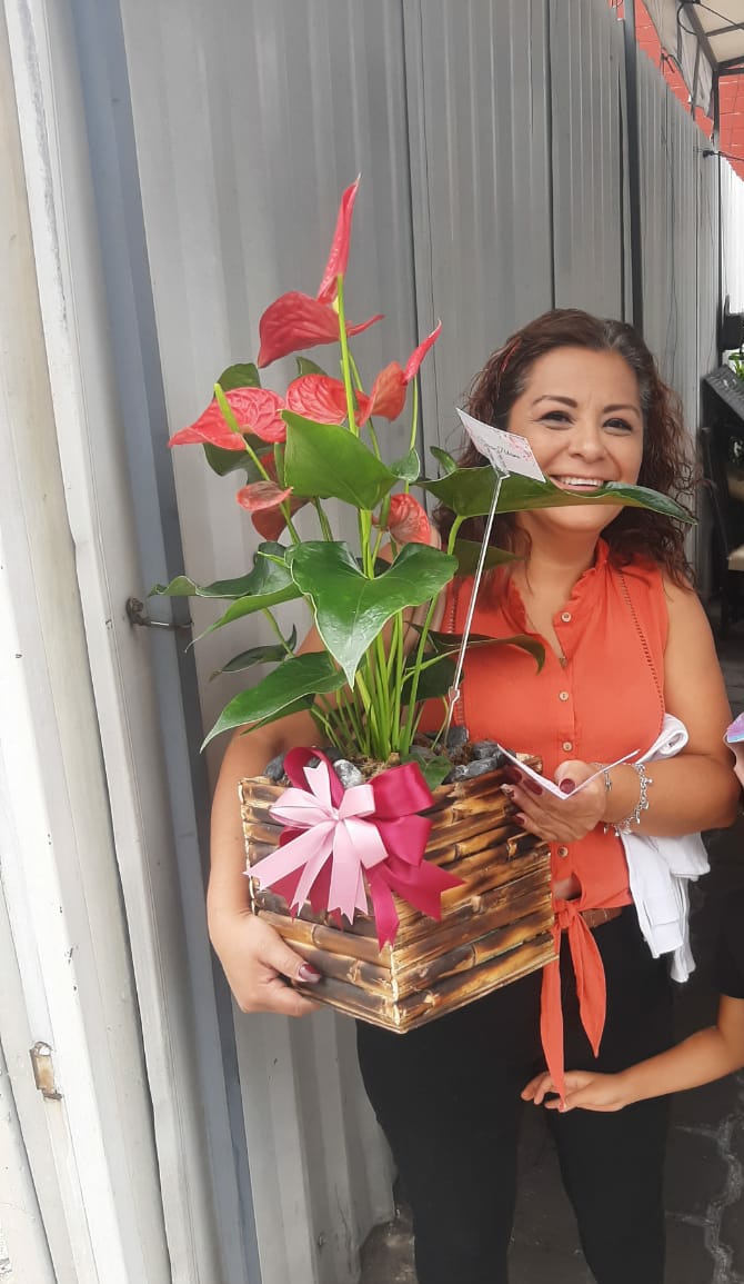 FloreriaPalermo's tweet photo. OFERTA • Planta de anturios $400 + envió  • Pocos  Disponibles • Contacto 5527481292 #Entregaexpress  #CEDAadomicilio
#anturios #plants #flores #enviaflores #FelizSabado #enviosadomicilio #plantas https://t.co/UsrA9PcvIh