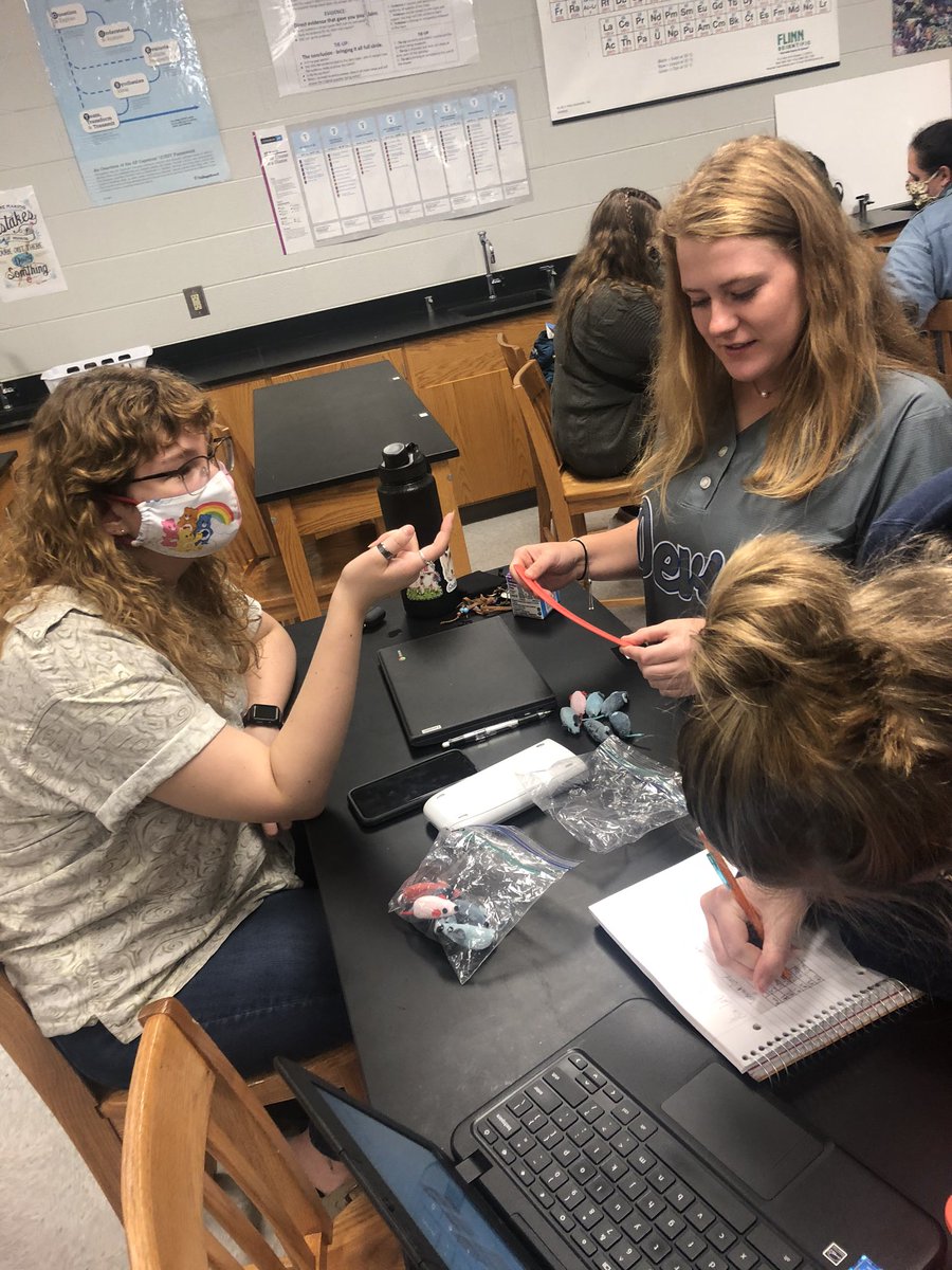 rlggrg's tweet photo. #APBio learning how to deal with bimodel data and mutated “mice” tails #busybeginnings #faMily #traditionallearning @ModelHighDevils @FloydCoSchools https://t.co/llICx4ezro