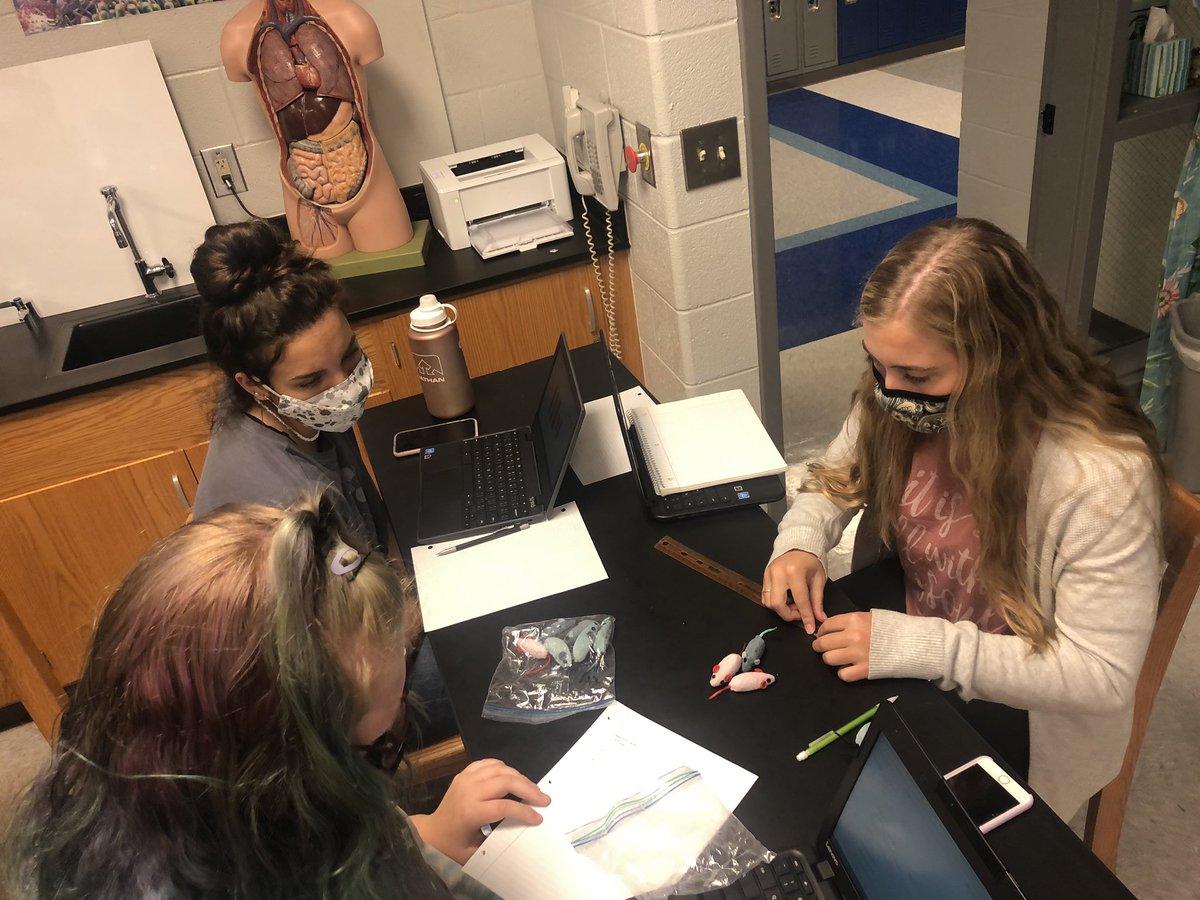 rlggrg's tweet photo. #APBio learning how to deal with bimodel data and mutated “mice” tails #busybeginnings #faMily #traditionallearning @ModelHighDevils @FloydCoSchools https://t.co/llICx4ezro