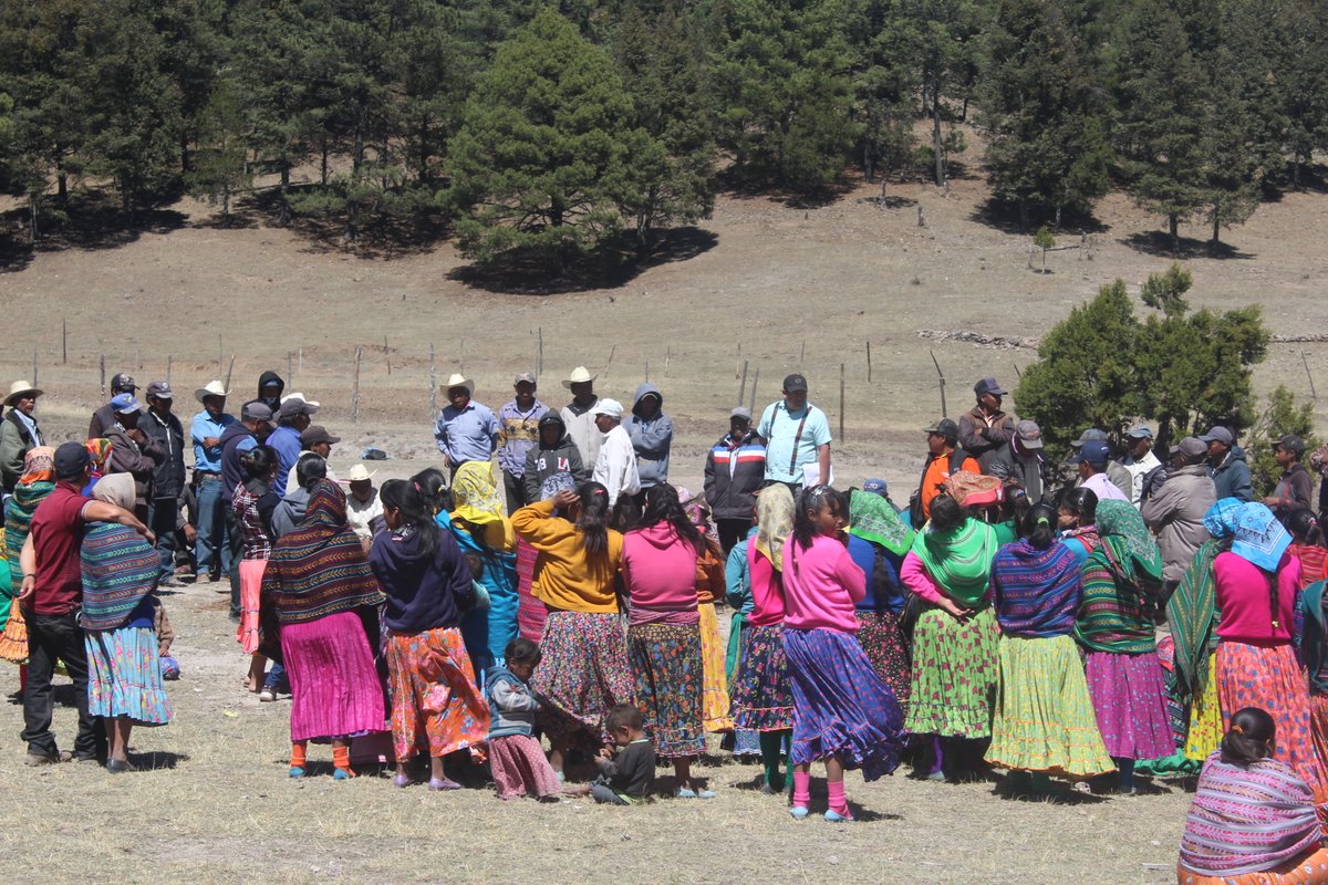 5 de septiembre día internacional de la mujer indígena
#MujeresEnCiencia #SeguimosEnLucha #5DeSeptiembre #DiaDeLaMujerIndigena #DiaInternacionalDeLaMujerIndigena