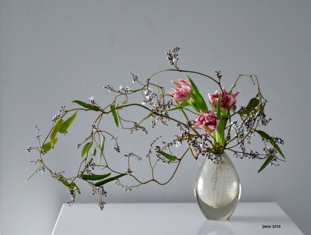 икебана алексгрим. ваза для икебаны. икебана стиль дзиюка. дзюика икебана. икебана в стиле хейка.