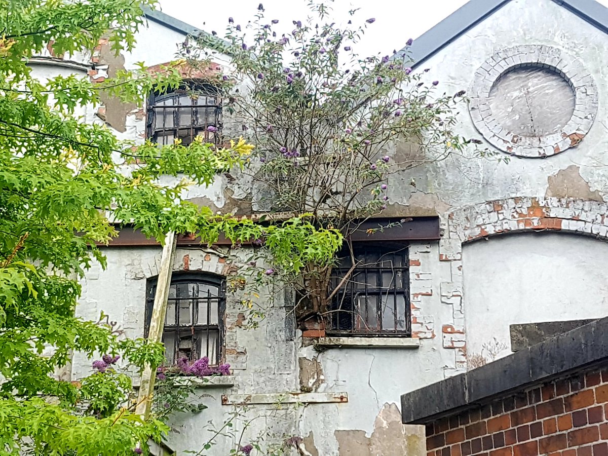 new maker space for Cork city?why not? it's one of many, many beautiful buildings across the centre lying long term empty, decaying bring in  #meanwhileuse Ireland to boost economy; focus on  #circular  #sustainable  #ecodesign  #urbanmanufacturing  #urbanscale  #creativity