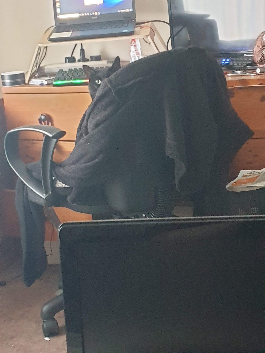 paws_sir's tweet photo. Remember hooman i am always watching. #paws4overlord #catsofquarantine #CatsOfTwitter #fluffywrath #ninjaskills #ninjaoverload #BlackCat #Caturday https://t.co/dCJy7mjl6Y