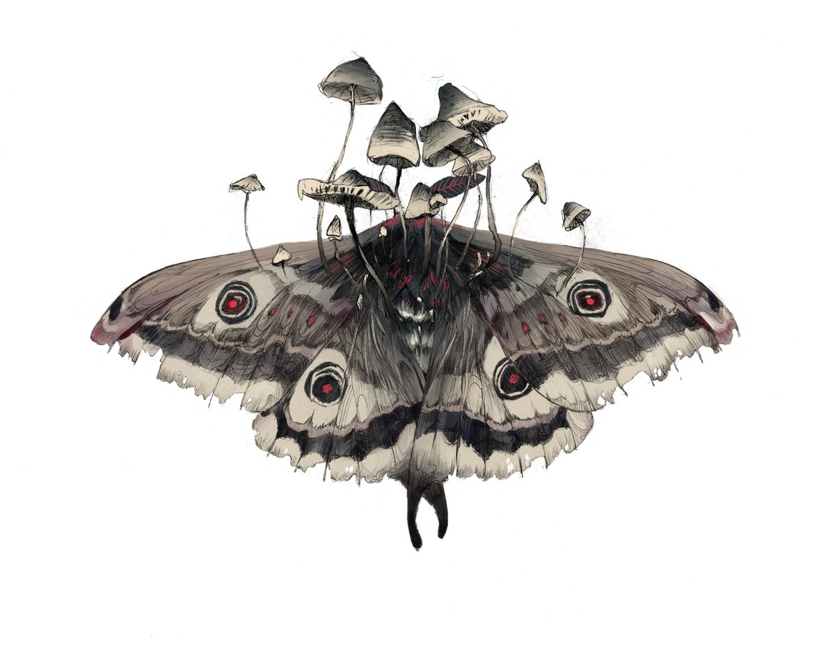 If I ever were to lose you, I'd surely lose myself 🌿

I finished a few new #TheLastofUs2 illustrations this week! I'm fond of the cordyceps moth.

#illustration #TLOU2 #TheLastofUsPartII #art #digitalart #TheLastOfUs