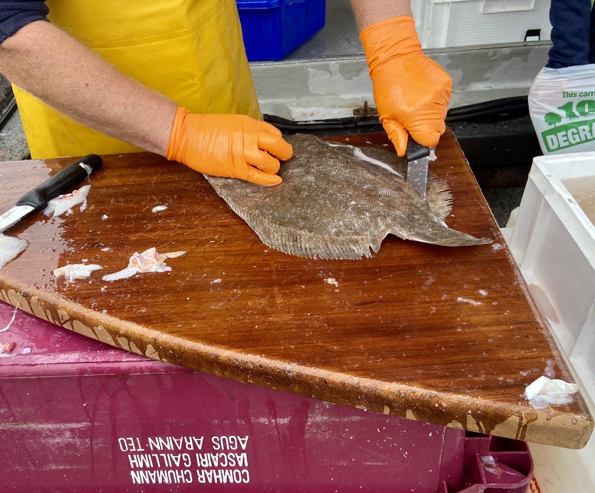 They’re no oil paintings but the joy of being able to buy fresh fish off the pier, normally bound for elsewhere, is one of the few benefits of the times we are in .... #bunowen #clifden