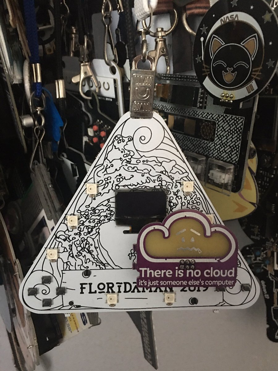 ManekiNekoDC's tweet photo. @lqqkout @jonathansinger @ellwoodthewood No worries. @jonathansinger is famous for his Florida man badge. Here’s two years worth. https://t.co/AV0LeI2oOD