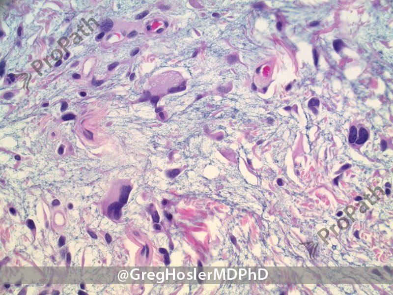 Gregory A Hosler tweet media