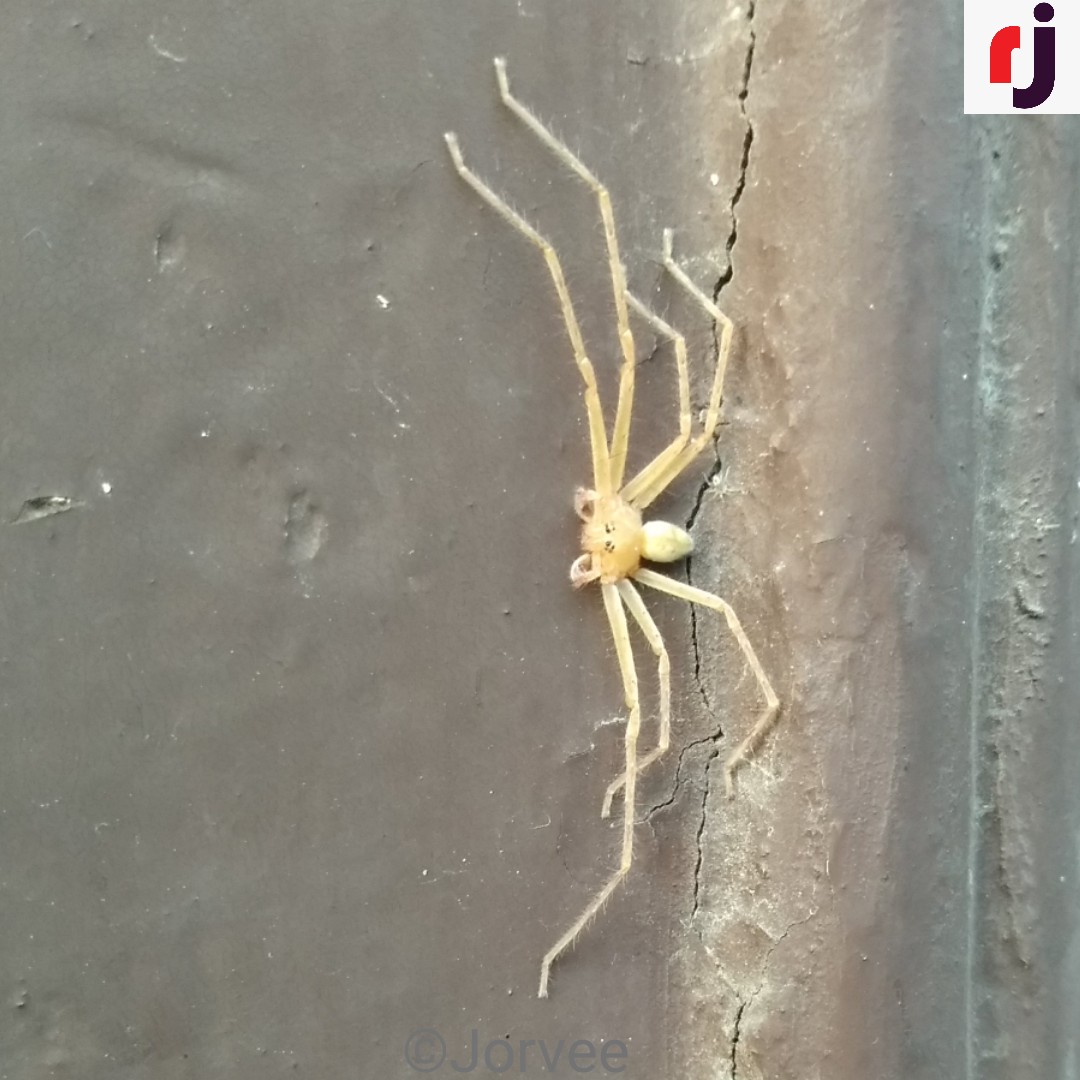 RashidJorvee's tweet image. #jorvee #rashidjorvee #jorveephotography #photography