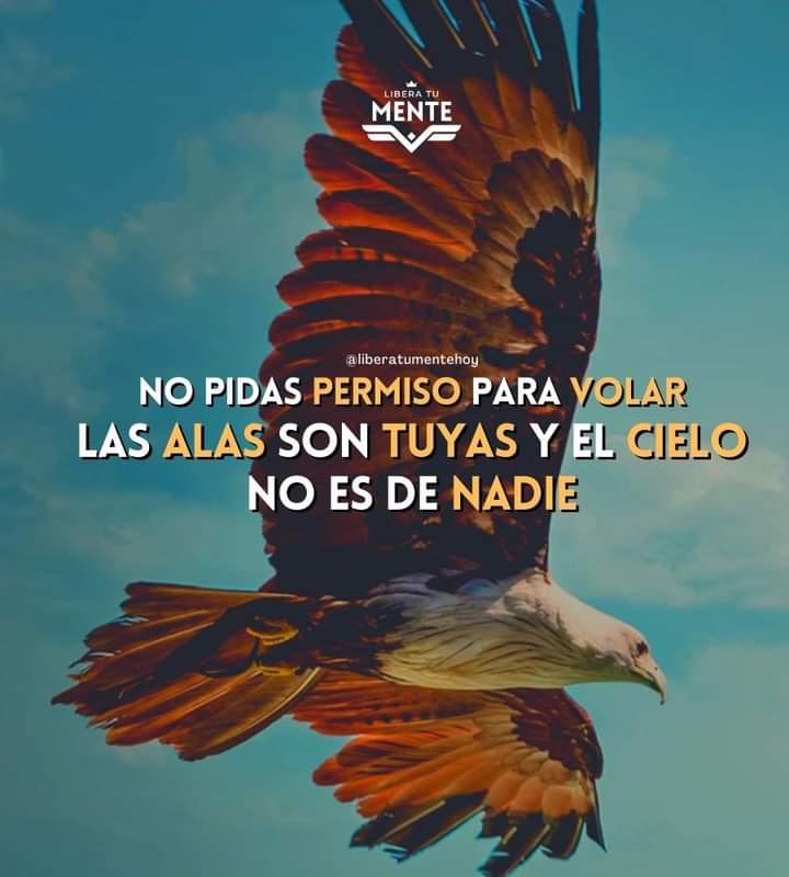 Literat (@literartee) on Twitter photo 