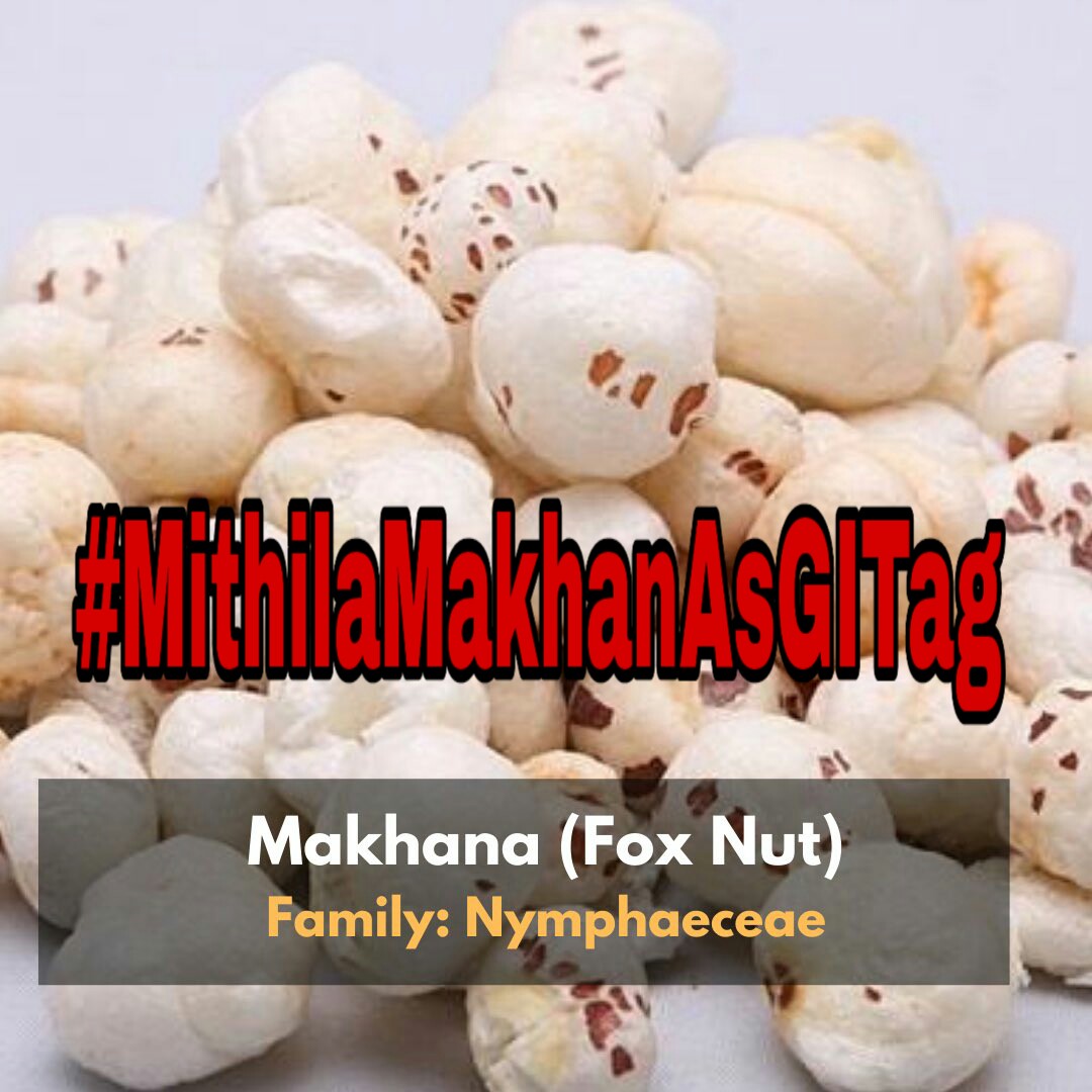 msMadhuri1978's tweet photo. #MithilaMakhanAsGITag https://t.co/XNFATd8A16