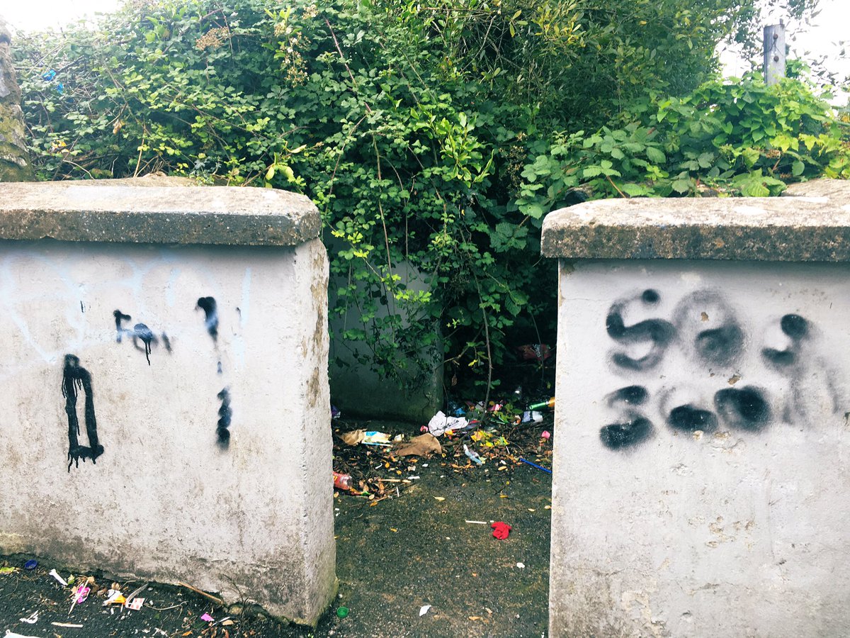 BetterEnnis's tweet image. Desire lines, overgrown short-cuts, permeability quick wins - nothing like a Saturday morning out with the Better Ennis crew on a mobility audit. #walkability #cyclability #liveability #publichealth #healthycities #saferoutestoschool #activetravel #Ennis
