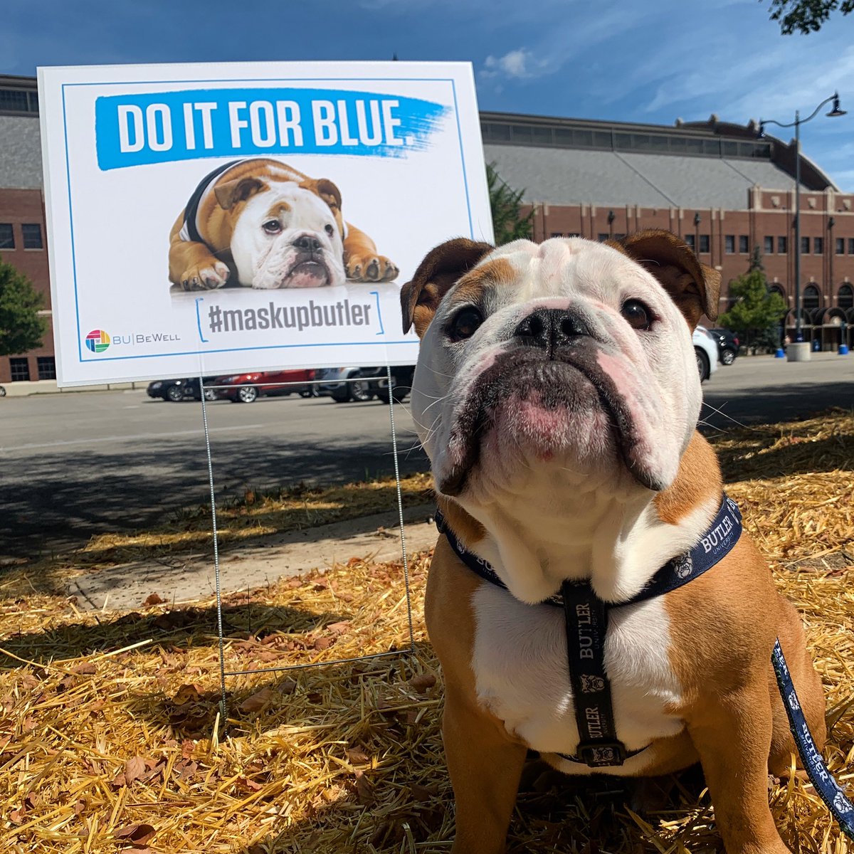 Butler Blue IV tweet media