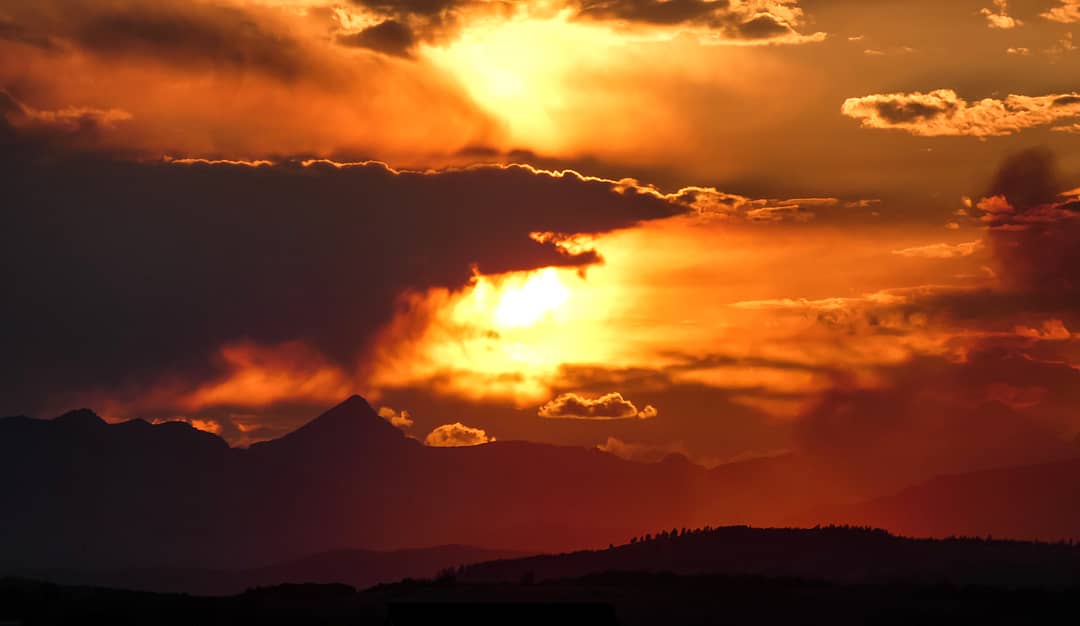 Kym 🌙 tweet media