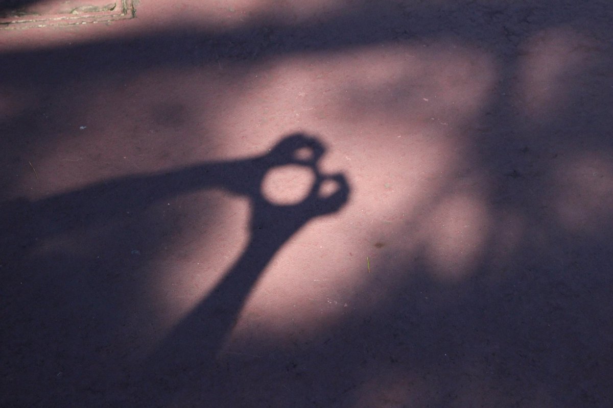 Plusma キャストのお姉さんが影絵作ってて近づいたら もっと作れるのでよかったら見てってください って言ってくれたから見てみたらクオリティ高くて感動した めちゃくちゃハピネス頂きました 手でこんなに作れるのすごくないすか