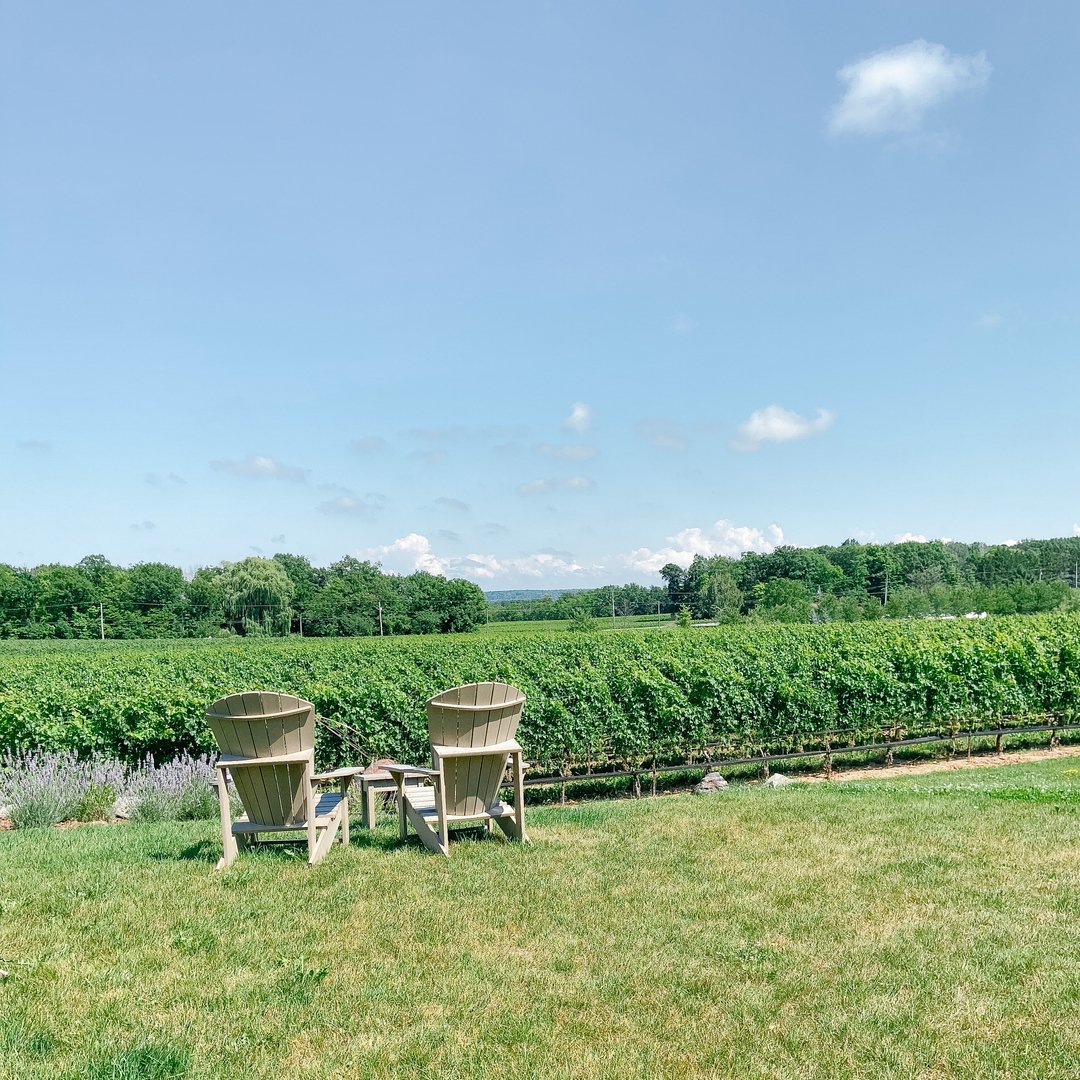 Hello Labour Day Weekend! 

Some suggest this weekend signifies the end of summer, while we think this is just the beginning to what is sure to be a great harvest season! 

We are fully sold out on tours this weekend and the rest of September is looking even busier than August. W