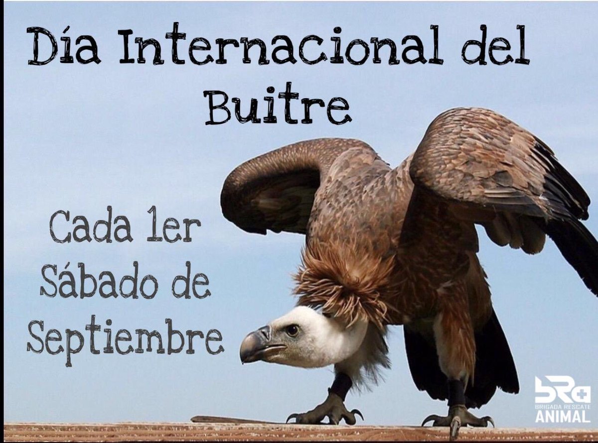 BRA - BRIGADA RESCATE ANIMAL tweet media
