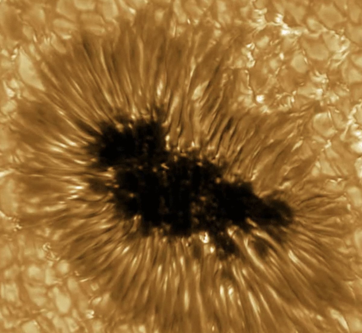 SarantosMelogia's tweet photo. Europe's largest solar telescope GREGOR reveals cool pics of sun close up!
#sun #sunny #suncloseup #closeup #europe #gregor #tech #nerd #nerds #nerdy #geek #geeks #Science #scienceweek #scientists #viral #photooftheday #photography #PHOTOS #photo #photographer #pic #picoftheday https://t.co/FuCTEJauCz