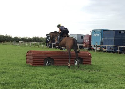 Basil enjoying his first outing cross country schooling, he’s really taking to his  re training career. #Godsown <a href="/TomGeorgeRacing/">Tom George Racing</a>