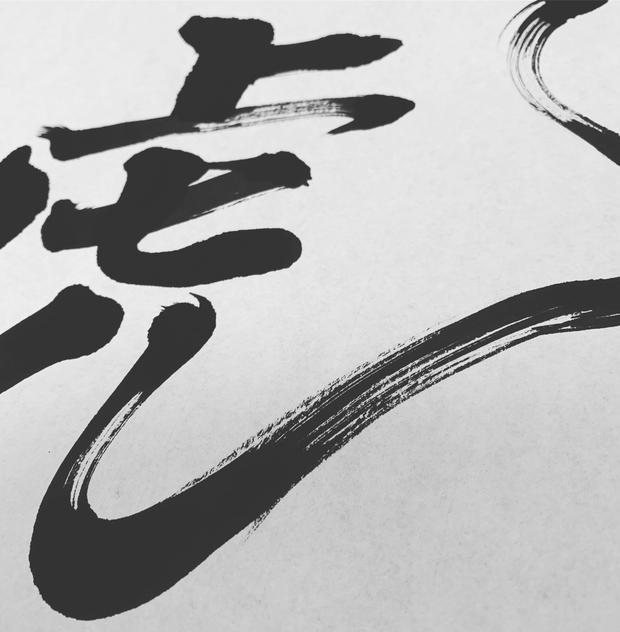 粟津紅花 V Twitter 早いものでもう22年寅年年賀状の制作が始まりました 21年丑年の年賀状も沢山作らせていただきました 手書きをお勧めしている私にとって やはり一言添えた年賀状を書いていただきたいな 年賀状 粟津紅花 V Twitter 早いものでもう22年寅年年賀状の制作が始まりました 21年丑年の年賀状も沢山作らせていただきました 手書きをお勧めしている私にとって やはり一言添えた年賀状を書いていただきたいな 年賀状