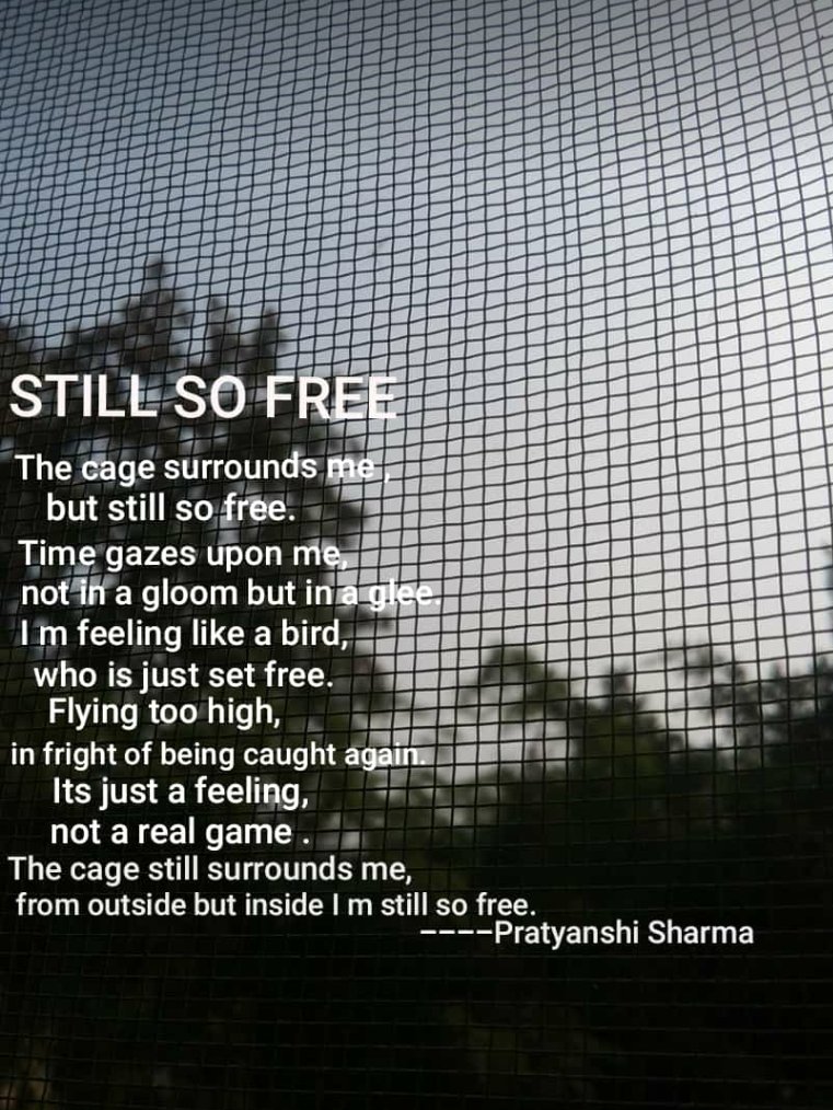 pratyay_Sa's tweet photo. Freedom is a state of mind🌱
#poetrycommunity 
#PoetsTwitter https://t.co/zzwhYwsmxh