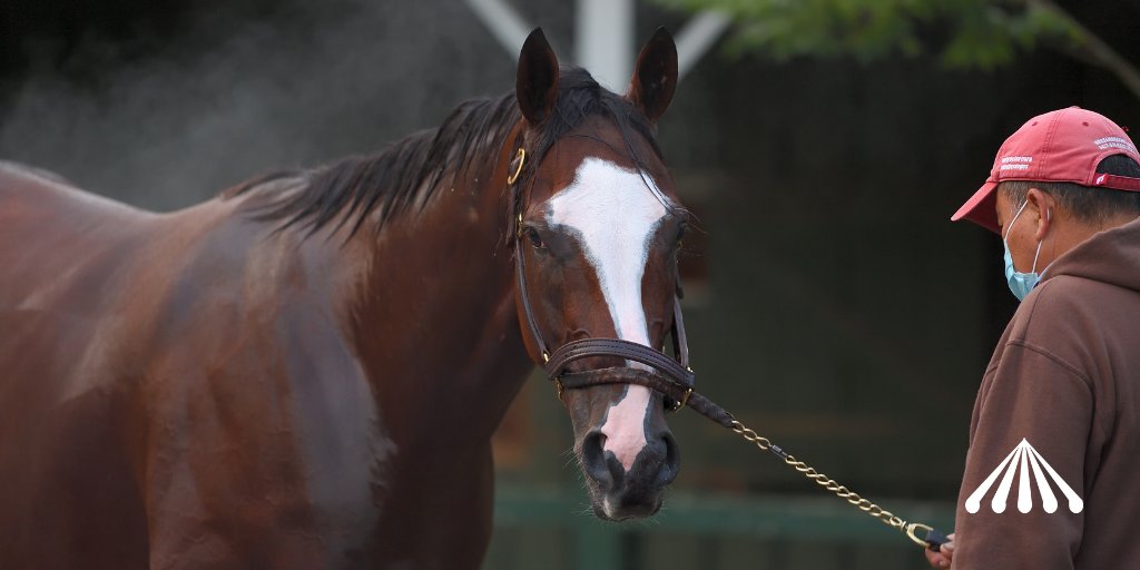 NYRA (🗽) tweet media