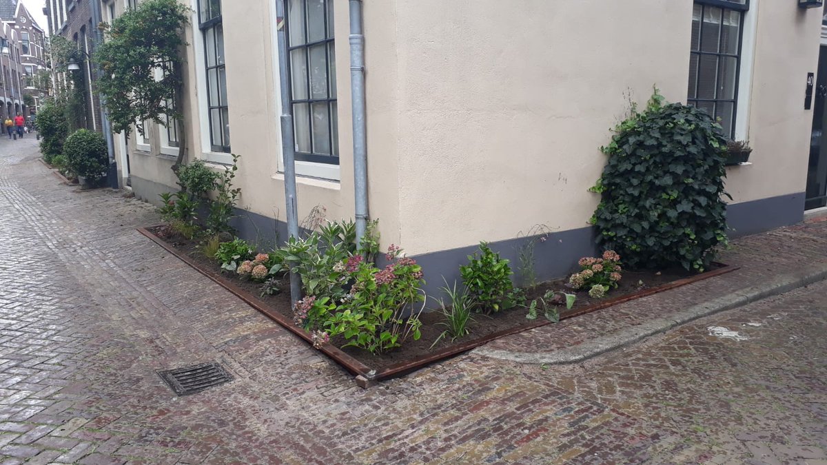 @wspnoord Prachtig, niet alleen in de Aalanden waren ze vandaag actief maar ook de Steenstraat in de Binnenstad van Zwolle is ontsteekt door prachtige geveltuintjes <a href="/WDODelta/">Waterschap Drents Overijsselse Delta</a> @ClimateCampus <a href="/delta_comm/">Deltacommissaris (DC)</a> @OpSteenbreek <a href="/Gemeente_Zwolle/">Gemeente Zwolle</a>