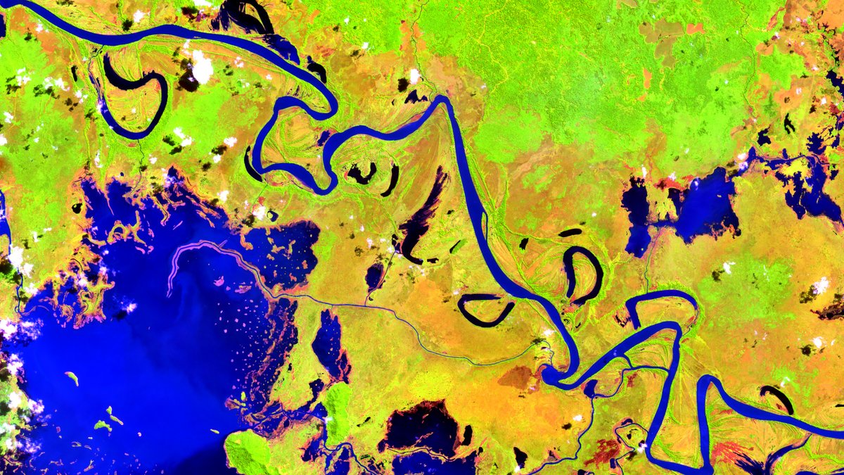 #Sentinel 2 (July 2018). SWIR1-NIR-Blue, 41 km wide.
#Broadleaf #Forest & #Water in #EastSepik, #PapuaNewGuinea at -2-315 m elevation.
#eo #earthengine @ESA_EO @ESA @earthoutreach

google.com/maps/@-4.18540…