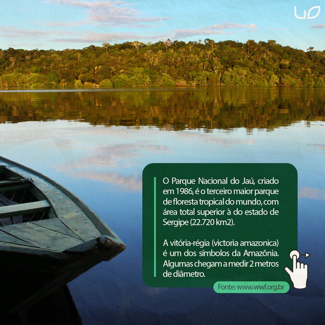 useorganico's tweet photo. Saiba mais em @wwfbrasil

#useorganico #amazonia #diadaamazonia #sustentabilidade #prevencao https://t.co/OSxWZ5Pv1y