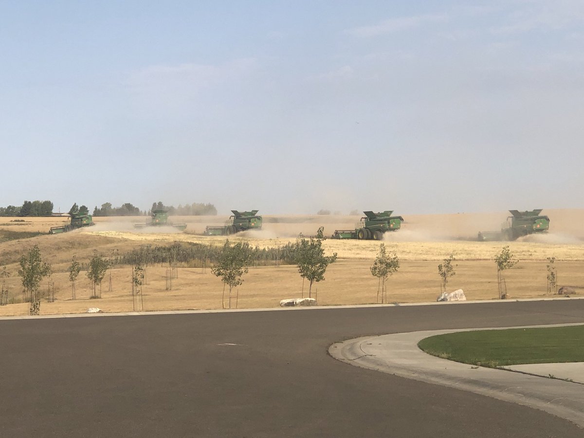 Hess_Sh1's tweet photo. Classic Saskatchewan sight this time of year. Stay safe on the fields to all our farmers. https://t.co/6epmTEqRRK