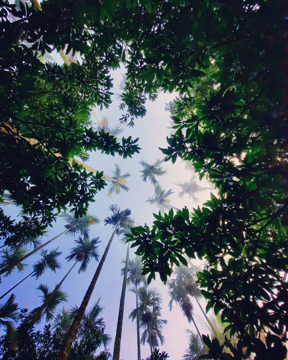 03Shreyas's tweet photo. To walk in nature is to witness a thousand miracles...🌍❤
.
.
.
#nature #photography #naturephotography #travel #love #photooftheday #landscape #instagood #naturelovers #beautiful #adventure #flowers #svit_camera #naturelover #hiking #birds #life #shreyas03_photography https://t.co/alqtHb4XNl