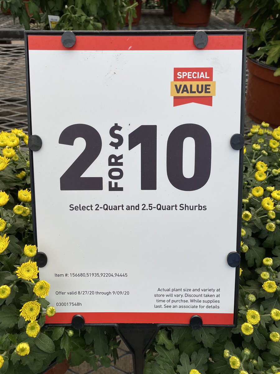 TJsShow's tweet image. Get your “shurbs” at @Lowe’s 😆 #HomeImprovement