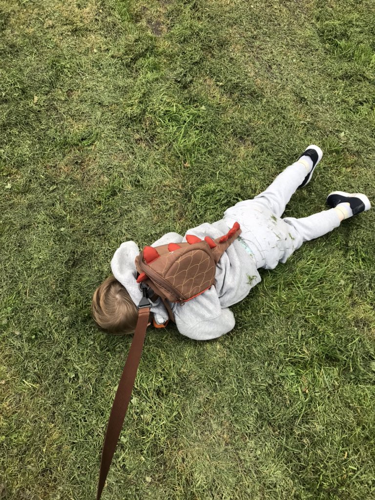 RhianGuy's tweet image. Kind of sums up our day....
Never known a toddler throw a tantrum like Finley can!!! 
#noteventwoyet #earlyterribletwo’s #passmeadrink 🙄