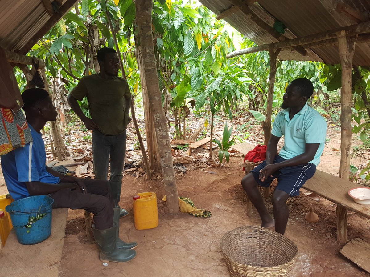 AnnanPerry's tweet photo. I decided to visit some party folks in their farm to preach the word of JM and NDC to them https://t.co/0asL5IBPRZ