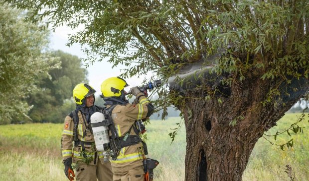 Brandweer rukt uit voor brand in holle boom in Oud-Vossemeer -..