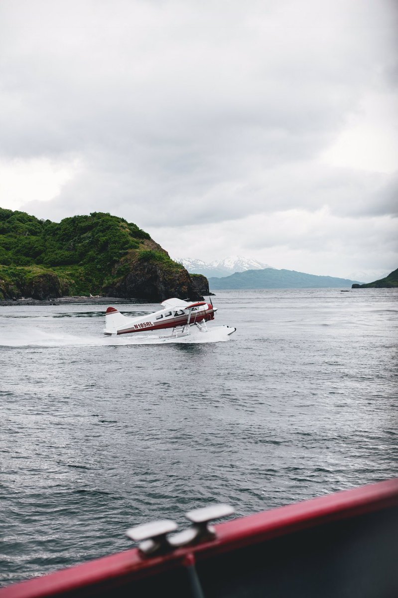 viewswithellen's tweet photo. snapshots from the sea https://t.co/vgiT775M8i
