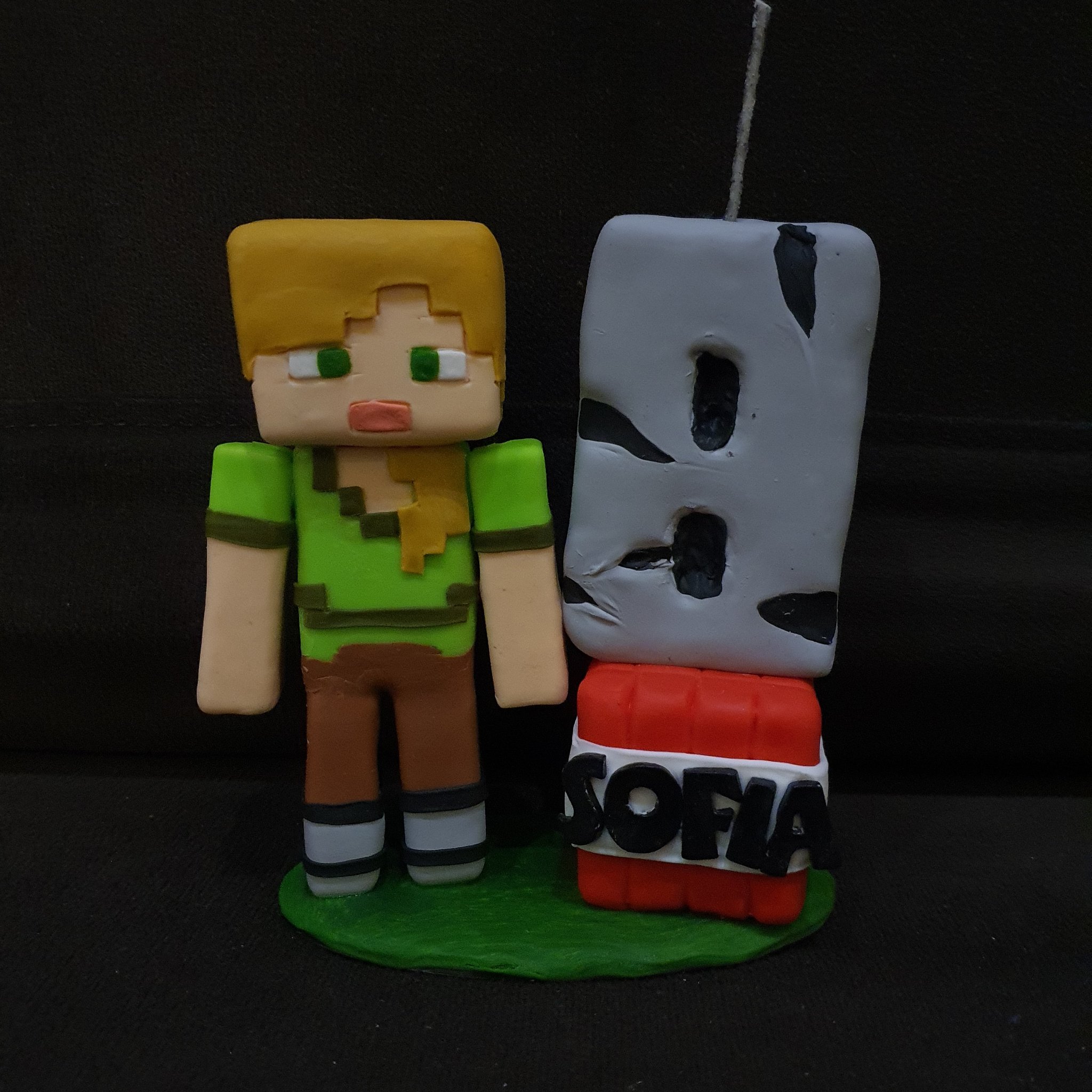 Ateliê Cláudia Pupo on X: Topo de bolo Minecraft menina. #Minecraft  #fanart #caketopper #clay #porcelanafria #biscuit   / X