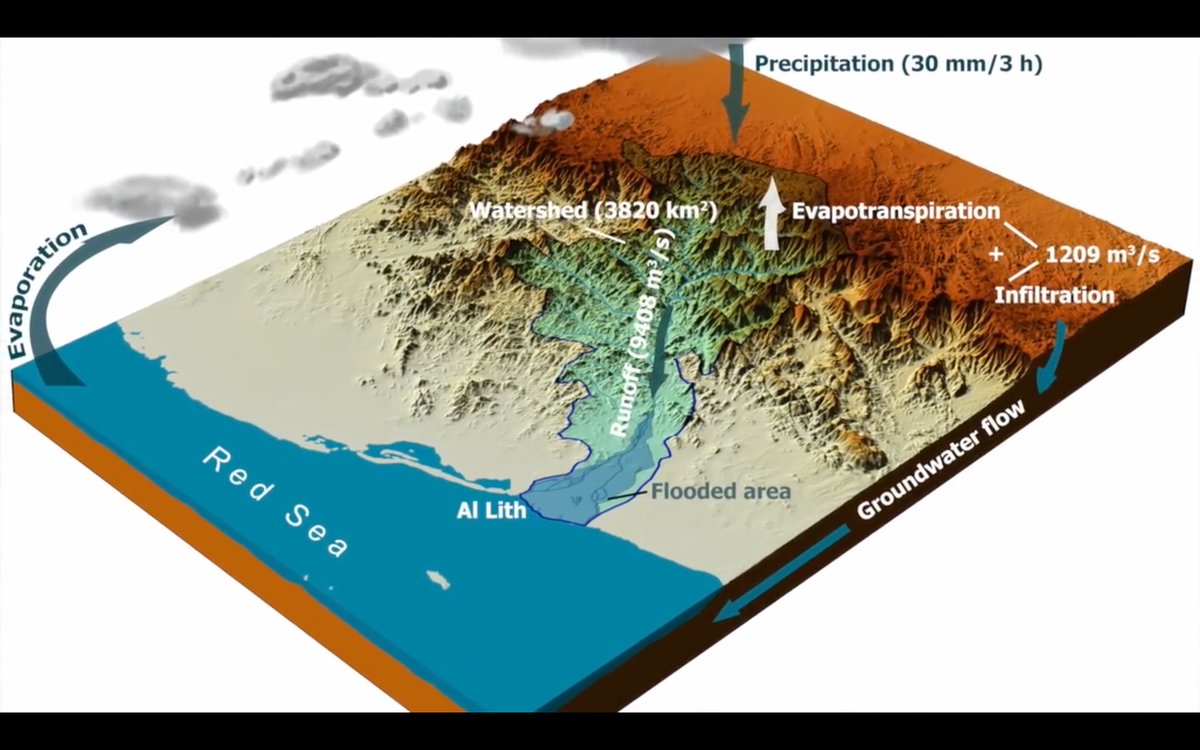 Let us take Wadi Al-Lith for example. A typical flood there releases enough water into the Red Sea to irrigate 130 million indigenous trees for 3 years. 130 MILLION trees for 3 YEARS!