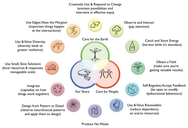 By implementing tried and tested Permaculture principles, we can reverse the desertification of the entire coastline in the process; thus reintroducing a rich, biodiverse environment to the region.