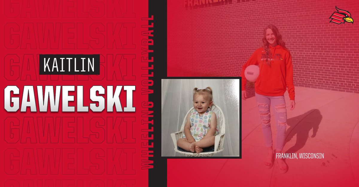 wheelingvb's tweet photo. Next up, Kaitlin Gawelski a freshman from Franklin, Wisconsin‼️ Kaitlin likes to watch Netflix, read and play with her dog! 🐶 She also likes to bake and her favorite thing to bake is banana bread! Kaitlin’s favorite food is sushi 😍 #gocards https://t.co/fKpk78LTP7