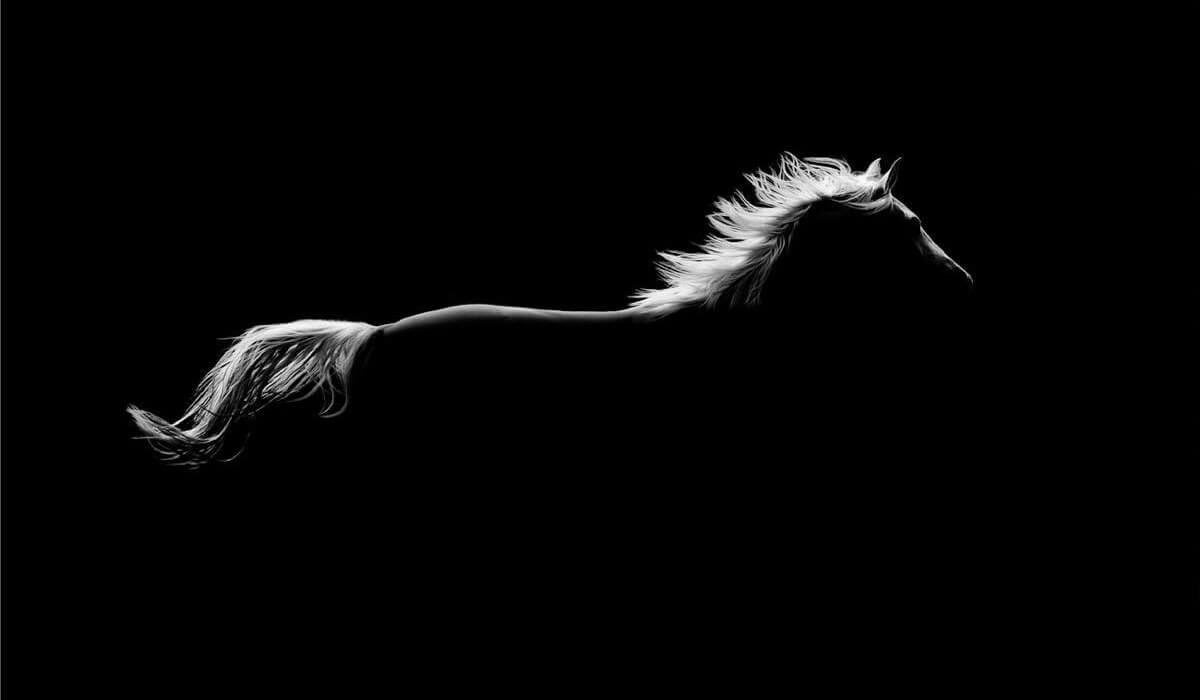 Seabreeze🐚 tweet media
