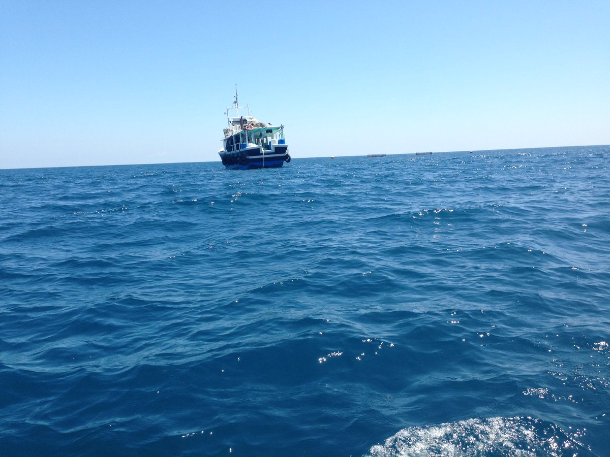 Chefstradingdc's tweet photo. #SocialDistancing Check. Gone #Fishing out to sea. 
See you next week with #Traceable #Fresh #Tunas and #Swordfish landings as usual. Happy #LaborDayWeekend to all and cheers to All the fishers out working. We support #HumanRights &amp; a #Sustainable #SlaveFree #Seafood #SupplyChain https://t.co/siaN1ClsQZ